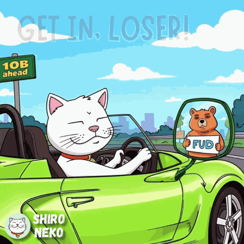 Get In Loser Shiro Neko GIF