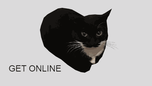 Get Online Cat GIF