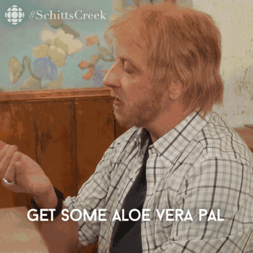 Get Some Aloe Vera Pal Cause You Just Got Burned Roland GIF