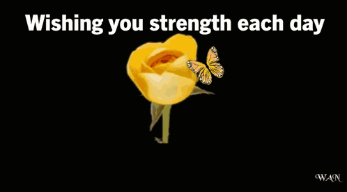 Get Well Soon Feel Better GIF