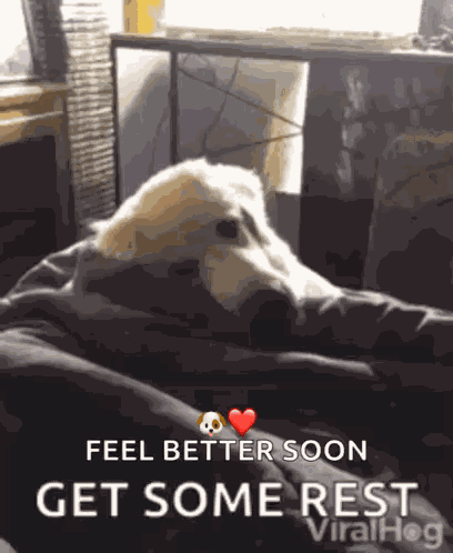 Get Well Soon GIF