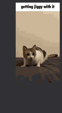 Getting Jiggy GIF