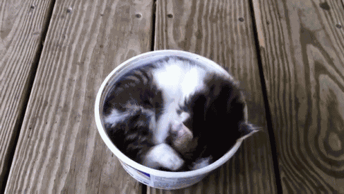 Getting Out Of Bed GIF