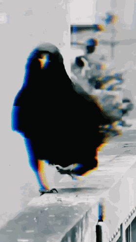 Ggkwlk GIF