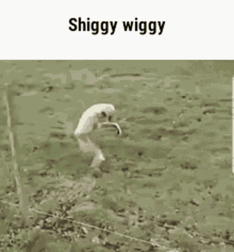 Gibbon Run GIF