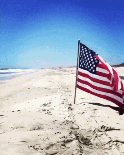 Gif America GIF