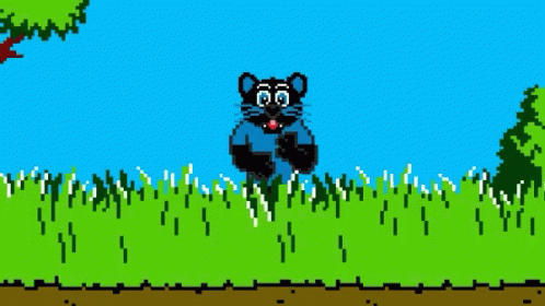 Gif Panthers GIF