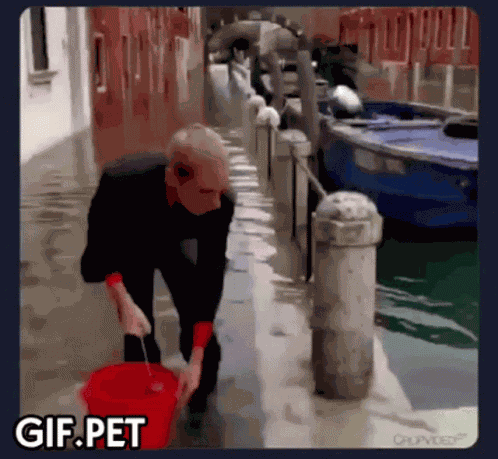 Gif Pet Venice GIF