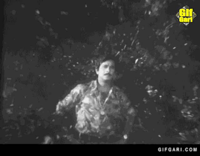 Gifgari Gifgari Classic GIF