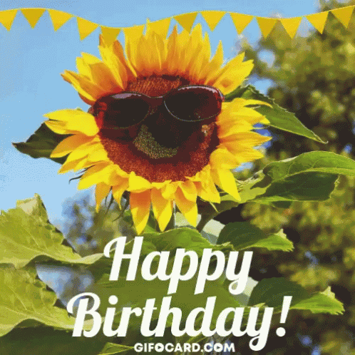 Gifocard Birthday Gif GIF