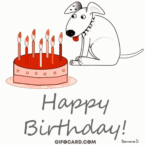 Gifocard Birthday Gif GIF