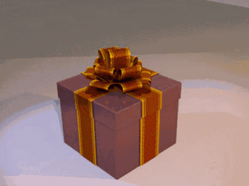 Gift Present GIF