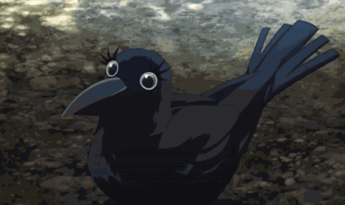 Ginko Crow GIF