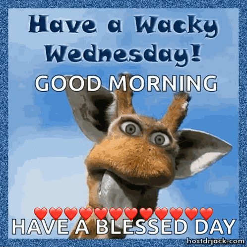 Giraffe Wednesday GIF