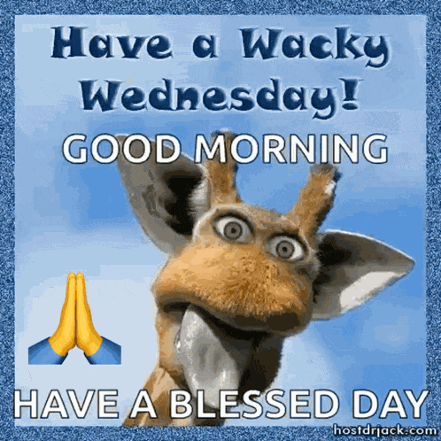 Giraffe Wednesday GIF