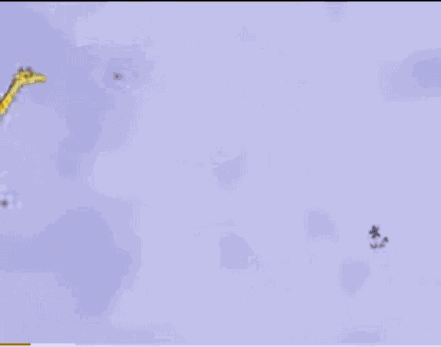 Giraffes Cant Dance Running GIF