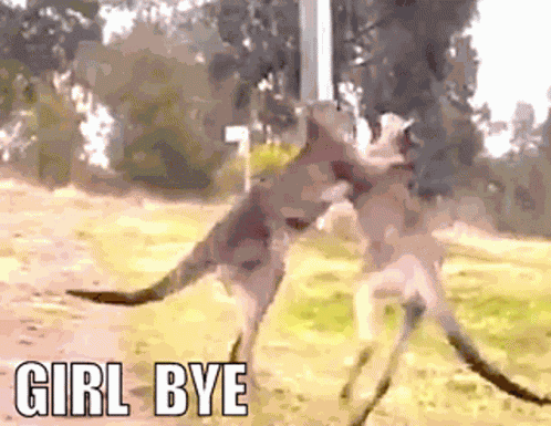 Girl Bye Bye Felicia GIF