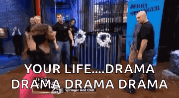 Girl Fight Jerry Springer Fight GIF