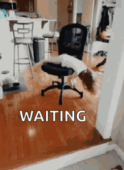 Girl Spinning GIF
