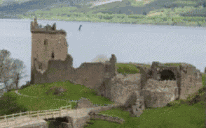 Girraffe Loch GIF