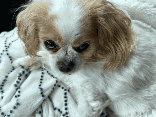 Glare Mad GIF