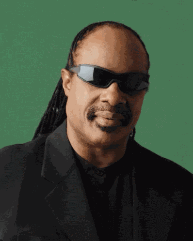 Glasses On Stevie Wonder GIF