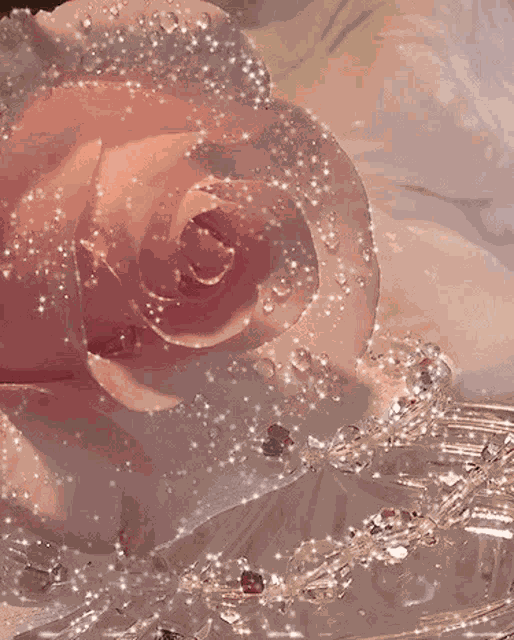 Glitter Pink Pinks7 GIF