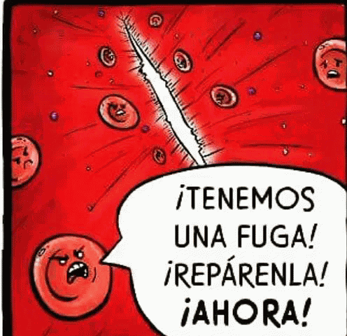 Globulos Sangre GIF