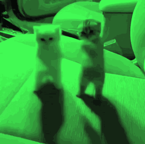 Glorping GIF