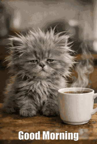 Gm Good Morning GIF