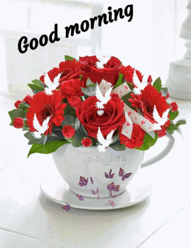 Gm Good Morning GIF