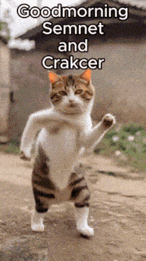 Gmchat Good Morning GIF