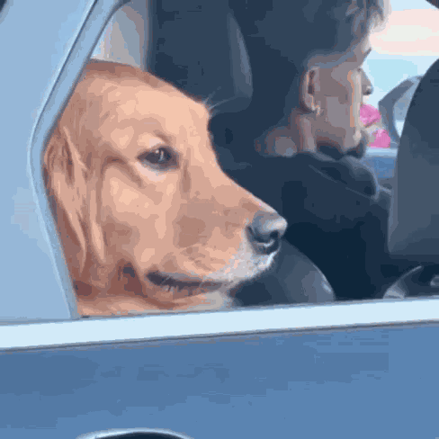 Go Awa GIF