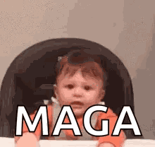 Go Pats GIF