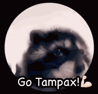 Go Tampax GIF