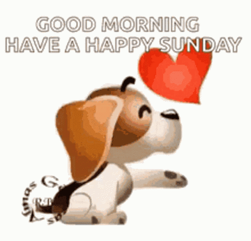 Go To GIF