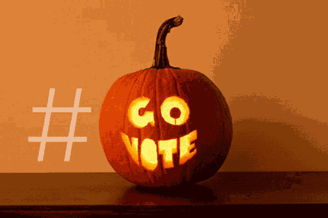 Go Vote Vota GIF