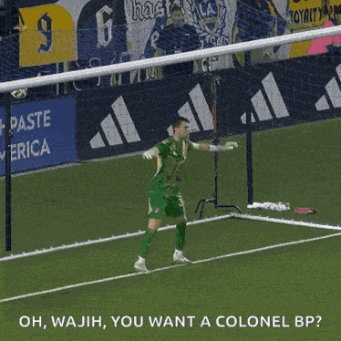Goal Block Major League Soccer GIF