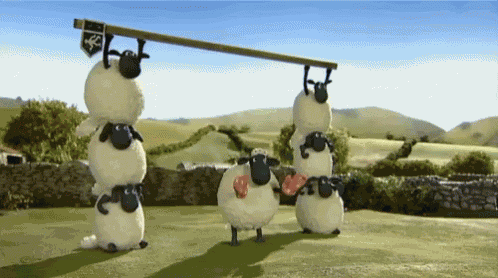 Goal Celebrate GIF