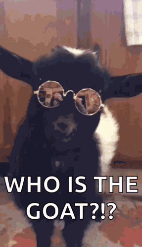 Goat Chill GIF