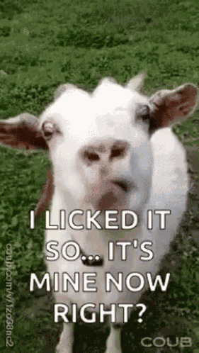 Goat Eating GIF