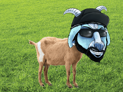 Goat Great Goats GIF