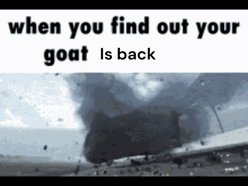 Goat Is Back We Are So Back GIF