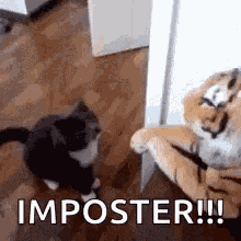Goatplaybanjo Chat GIF