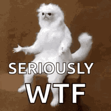 Goatplaybanjo Wtf GIF
