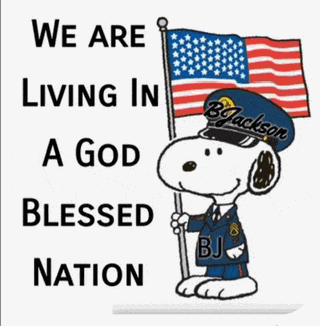 God Bless America July 4th Meme