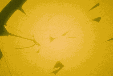 Gogeta Dragon Ball GIF