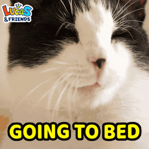 Going To Bed Sleep GIF