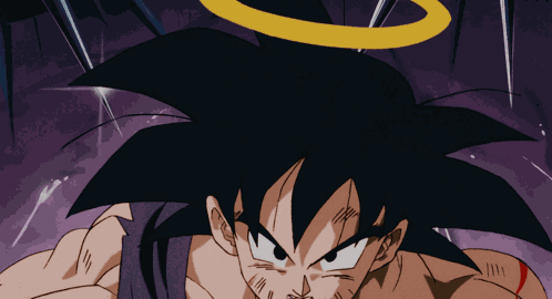 Goku And Vegeta Dragon Ball Z GIF