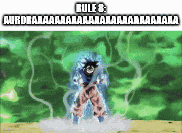 Goku Rule Rule 8 Aurora GIF